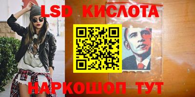 гидра Будённовск