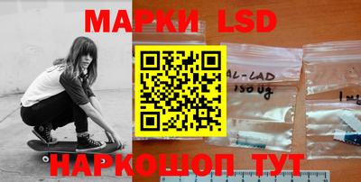 гидра Будённовск