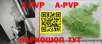 гидра Будённовск