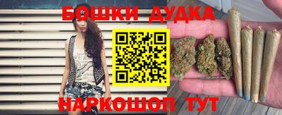 гидра Будённовск