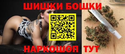 гидра Будённовск
