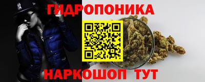гидра Будённовск