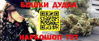 гидра Будённовск