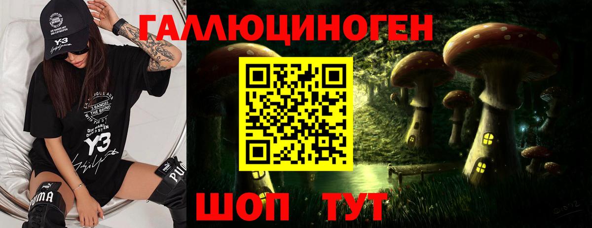 Галлюциногенные грибы Cubensis  Вход с VPN  купить   Орск 